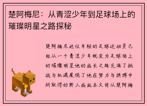楚阿梅尼：从青涩少年到足球场上的璀璨明星之路探秘